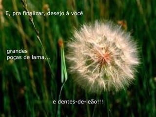 E, pra finalizar, desejo à você grandes  poças de lama... e dentes-de-leão!!! 