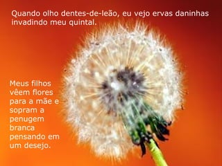 Quando olho dentes-de-leão, eu vejo ervas daninhas invadindo meu quintal. Meus filhos  vêem flores  para a mãe e  sopram a  penugem  branca  pensando em  um desejo. 
