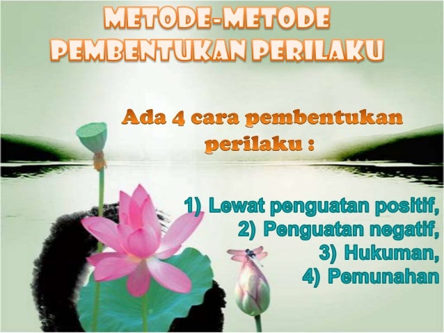 Dasar-dasar Perilaku Individu (Perilaku Organisasi)