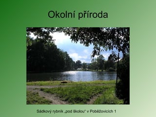 Okolní příroda Sádkový rybník „pod školou“ v Poběžovicích 1 