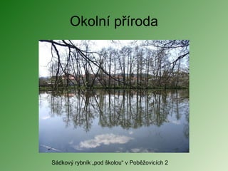 Okolní příroda Sádkový rybník „pod školou“ v Poběžovicích 2 