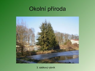 Okolní příroda 3. sádkový rybník 