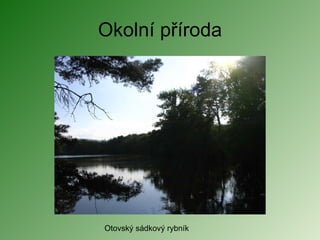 Okolní příroda Otovský sádkový rybník 