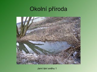Okolní příroda Jarní tání sněhu 1 