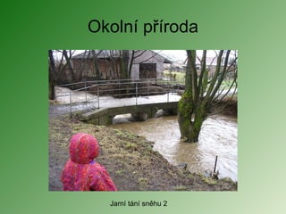 Okolní příroda Jarní tání sněhu 2 