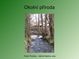 Okolní příroda Potok Pivoňka – běžná hladina vody 