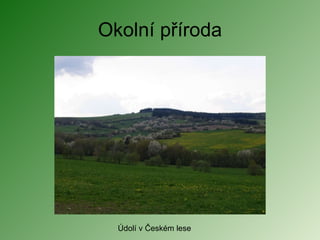 Okolní příroda Údolí v Českém lese 