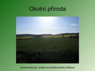Okolní příroda „ Drahotínský les“ pohled od poběžovického hřbitova 