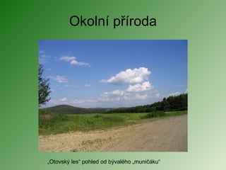 Okolní příroda „ Otovský les“ pohled od bývalého „muničáku“ 