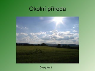 Okolní příroda Český les 1 