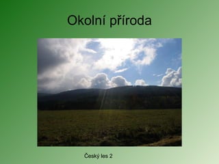 Okolní příroda Český les 2 