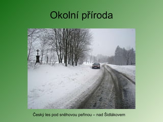 Okolní příroda Český les pod sněhovou peřinou – nad Šidlákovem 