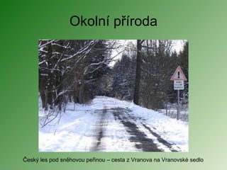 Okolní příroda Český les pod sněhovou peřinou – cesta z Vranova na Vranovské sedlo 