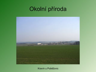 Okolní příroda Kravín u Poběžovic 