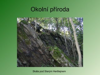 Okolní příroda Skála pod Starým Herštejnem 