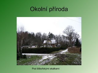 Okolní příroda Pod šitbořskými skalkami 