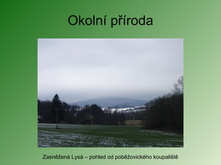 Okolní příroda Zasněžená Lysá – pohled od poběžovického koupaliště 