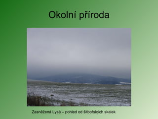 Okolní příroda Zasněžená Lysá – pohled od šitbořských skalek 