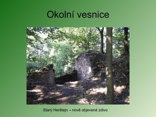 Okolní vesnice Starý Herštejn – nově objevené zdivo 