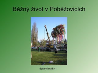 Běžný život v Poběžovicích Stavění májky 1 