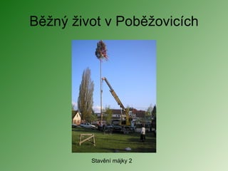 Běžný život v Poběžovicích Stavění májky 2 