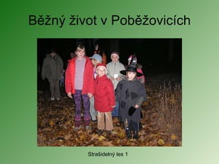 Běžný život v Poběžovicích Strašidelný les 1 