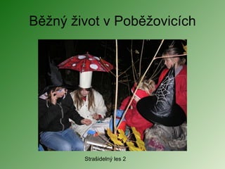 Běžný život v Poběžovicích Strašidelný les 2 