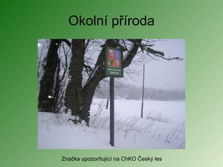 Okolní příroda Značka upozorňující na ChKO Český les 