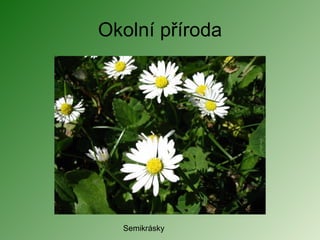 Okolní příroda Semikrásky 
