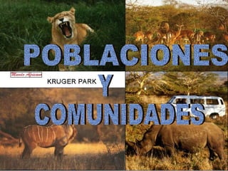 POBLACIONES  COMUNIDADES Y 