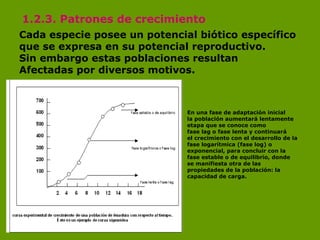 1.2.3. Patrones de crecimiento   Cada especie posee un potencial biótico específico que se expresa en su potencial reprodu...