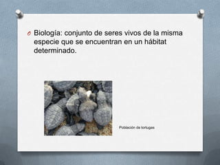 Biología: conjunto de seres vivos de la misma especie que se encuentran en un hábitat determinado. Población de tortugas