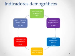 Indicadores demográficos
Tasa Bruta de
Natalidad
(TBN)
Tasa Bruta de
Reproducción
(TBR)
Tasa de
Mortalidad
Infantil
(TMI)
Esperanza de
Vida al Nacer
Tasa Bruta de
Mortalidad
(TM)
Tasa Global de
Fecundidad
(TGF)
 