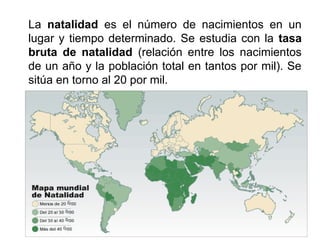 La natalidad es el número de nacimientos en un
lugar y tiempo determinado. Se estudia con la tasa
bruta de natalidad (relación entre los nacimientos
de un año y la población total en tantos por mil). Se
sitúa en torno al 20 por mil.
 