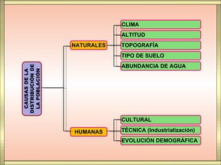 CLIMA
            ALTITUD
NATURALES   TOPOGRAFÍA
            TIPO DE SUELO
            ABUNDANCIA DE AGUA




            CULTURAL

HUMANAS     TÉCNICA (Industrialización)
            EVOLUCIÓN DEMOGRÁFICA
 