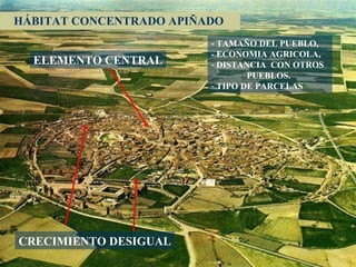 HÁBITAT CONCENTRADO APIÑADO  ELEMENTO CENTRAL CRECIMIENTO DESIGUAL - TAMAÑO DEL PUEBLO, - ECONOMIA AGRICOLA, DISTANCIA  CON OTROS  PUEBLOS. TIPO DE PARCELAS 