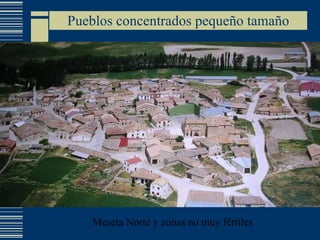 Pueblos concentrados pequeño tamaño Meseta Norte y zonas no muy fértiles 
