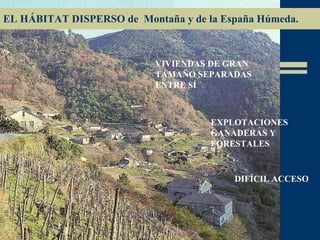 EL HÁBITAT DISPERSO de  Montaña y de la España Húmeda. VIVIENDAS DE GRAN TAMAÑO SEPARADAS ENTRE SÍ EXPLOTACIONES GANADERAS Y FORESTALES DIFÍCIL ACCESO 