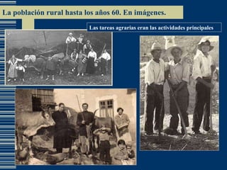 La población rural hasta los años 60. En imágenes. Las tareas agrarias eran las actividades principales 