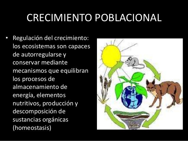 Población (ecologia)