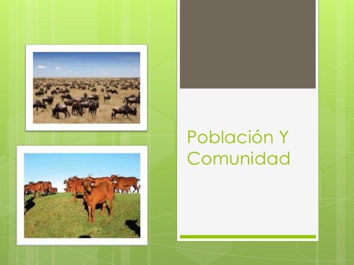 Población y comunidad