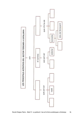Escola Pompeu Fabra - Medi 5 – La població i les activitats econòmiques a Catalunya 16
 