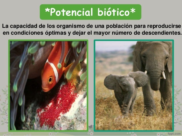 Resultado de imagen para poblacion biotica
