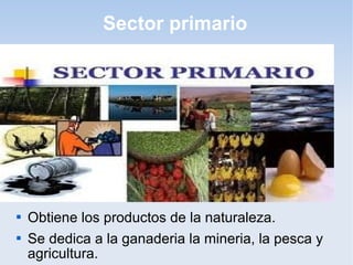 Sector primario




   Obtiene los productos de la naturaleza.
   Se dedica a la ganaderia la mineria, la pesca y
    agricultura.
 