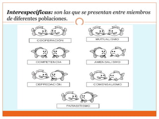 Interespecíficas: son las que se presentan entre miembros
de diferentes poblaciones.
 