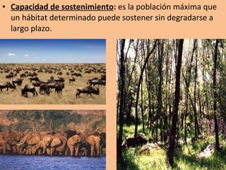 • Capacidad de sostenimiento: es la población máxima que
un hábitat determinado puede sostener sin degradarse a
largo plazo.
 