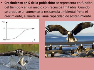 • Crecimiento en S de la población: se representa en función 
del tiempo y en un medio con recursos limitados. Cuando 
se produce un aumento la resistencia ambiental frena el 
crecimiento, el límite se llama capacidad de sostenimiento.
 