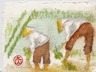 Poblaciones geneticas especializadas para mejorar el potencial de rendimiento del arroz