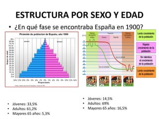 ESTRUCTURA POR SEXO Y EDAD 
• ¿En qué fase se encontraba España en 1900? 
• Jóvenes: 33,5% 
• Adultos: 61,2% 
• Mayores 65 años: 5,3% 
• Jóvenes: 14,5% 
• Adultos: 69% 
• Mayores 65 años: 16,5% 
 