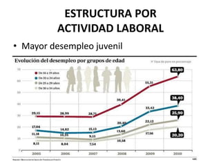 ESTRUCTURA POR 
ACTIVIDAD LABORAL 
• Mayor desempleo juvenil 

